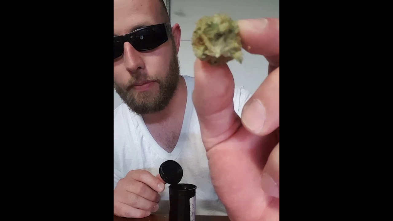 Dream Queen Strain Review