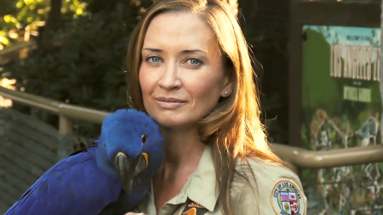 Help Us Save Animals from Extinction