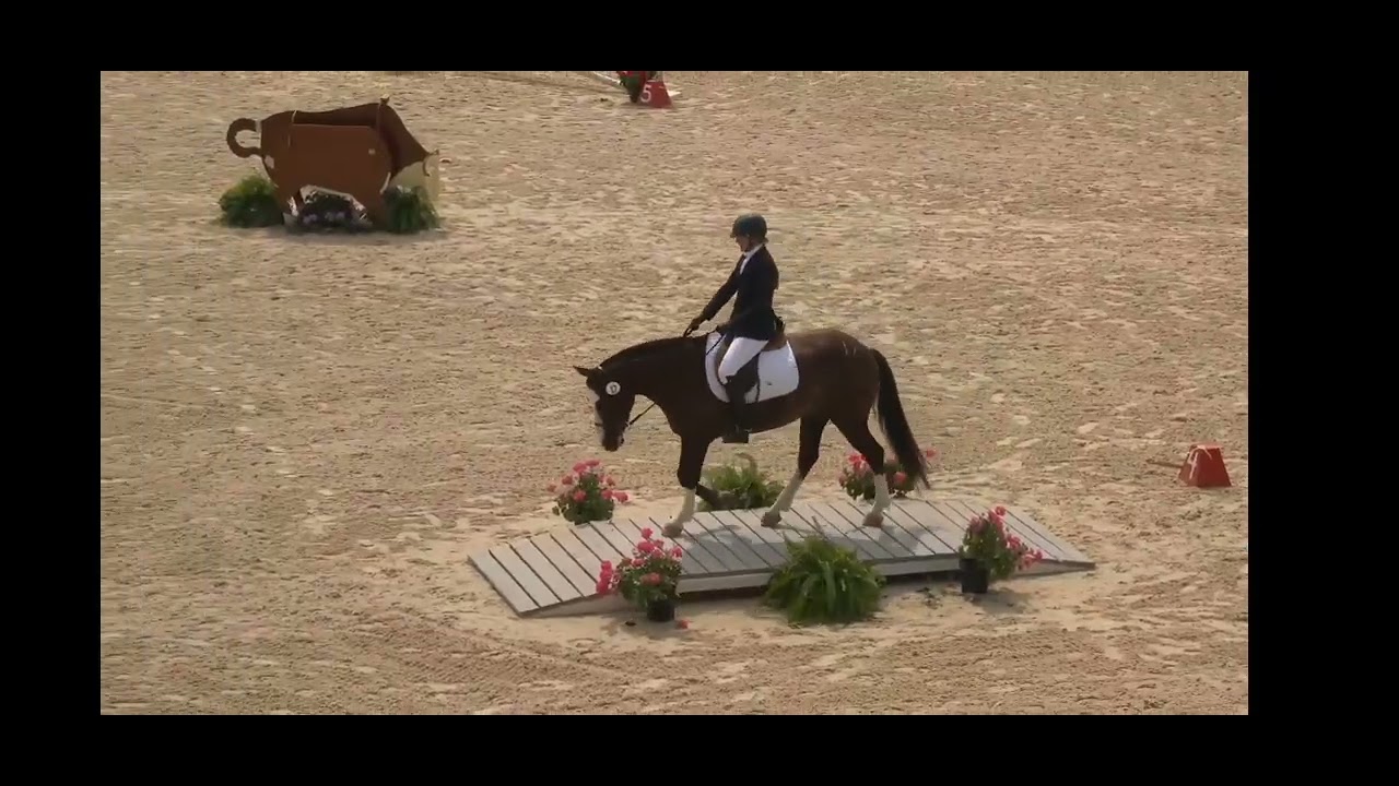 Stacie Zimmerman and Peso in Working Equitation at the Mustang Classic 2025 🤍