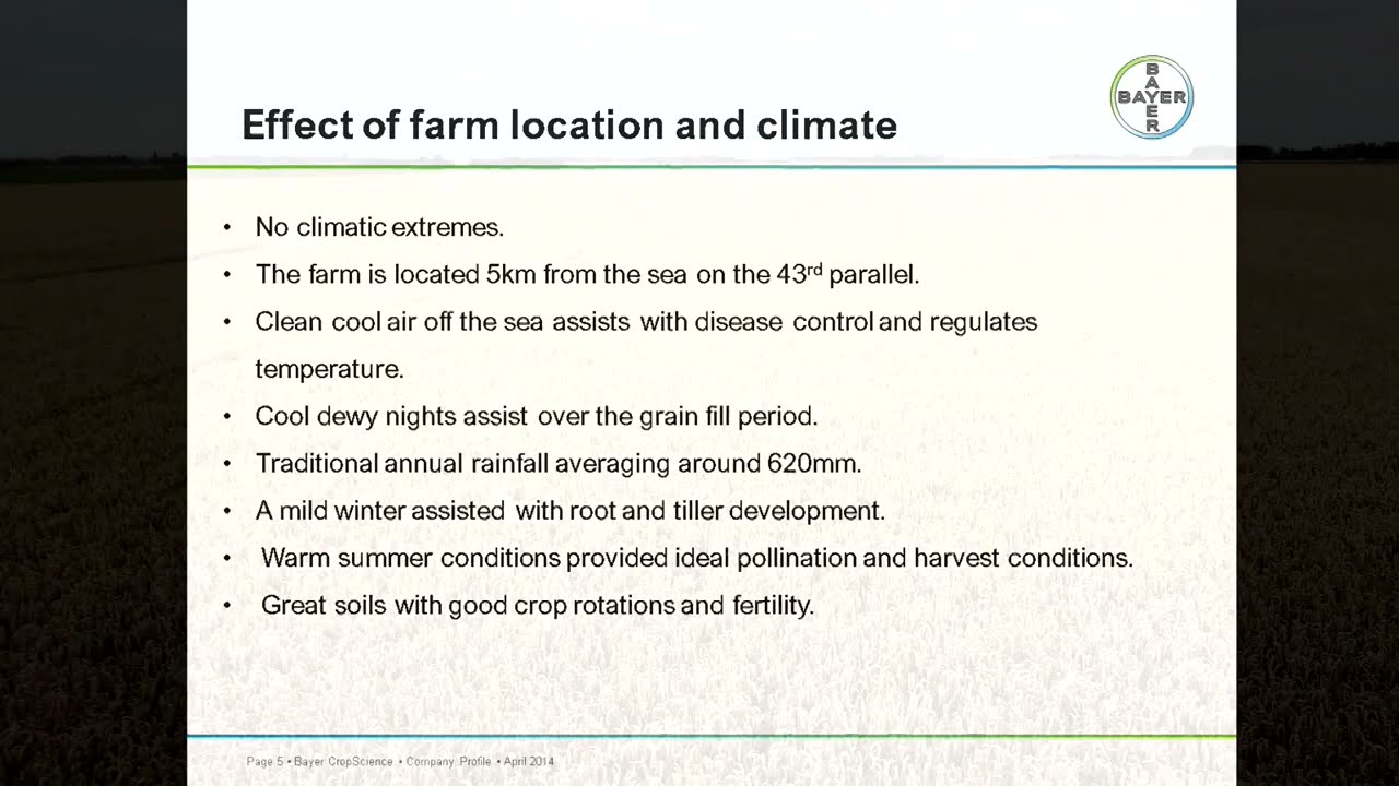 World Record Wheat Yield - David Weith & Eric Watson