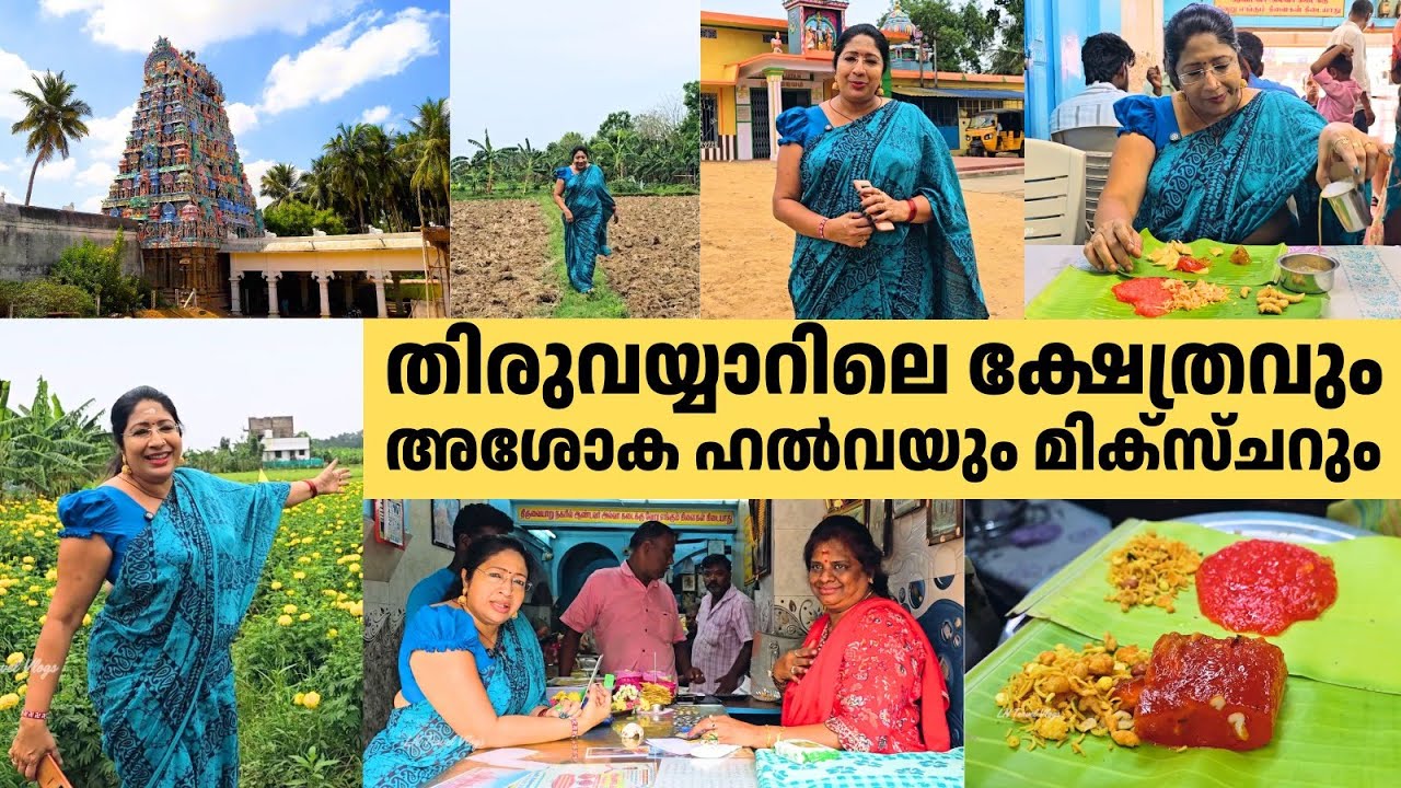 തിരുവയ്യാറിലെ ക്ഷേത്രവും അശോക ഹൽവയും മിക്സ്ചറും | Thiruvaiyaru Aiyarappar Temple & Asoka Halwa