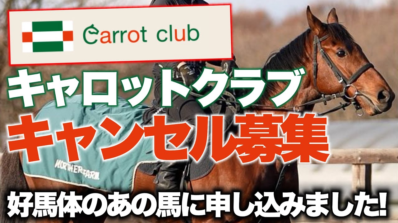 【一口馬主】キャロットクラブ第1回キャンセル募集の申し込みをしました！　#競馬 #一口馬主 