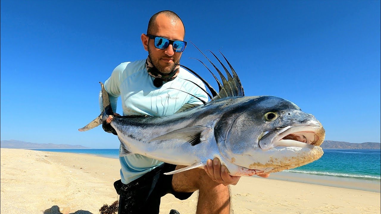 Pesca de PLAYA con SEÑUELO | Pesca de PEZ GALLO de ORILLA