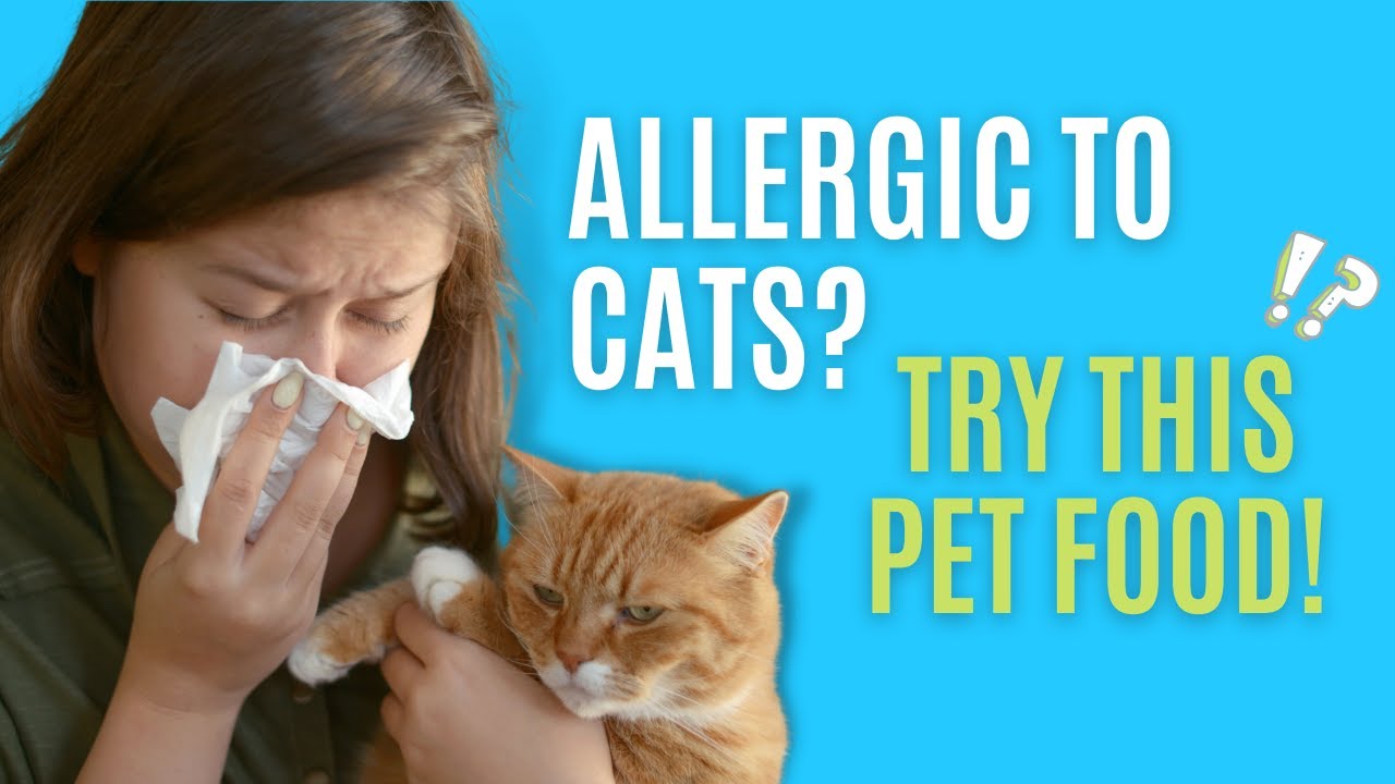 A Pet Food That Makes You Less Allergic To Cats?!