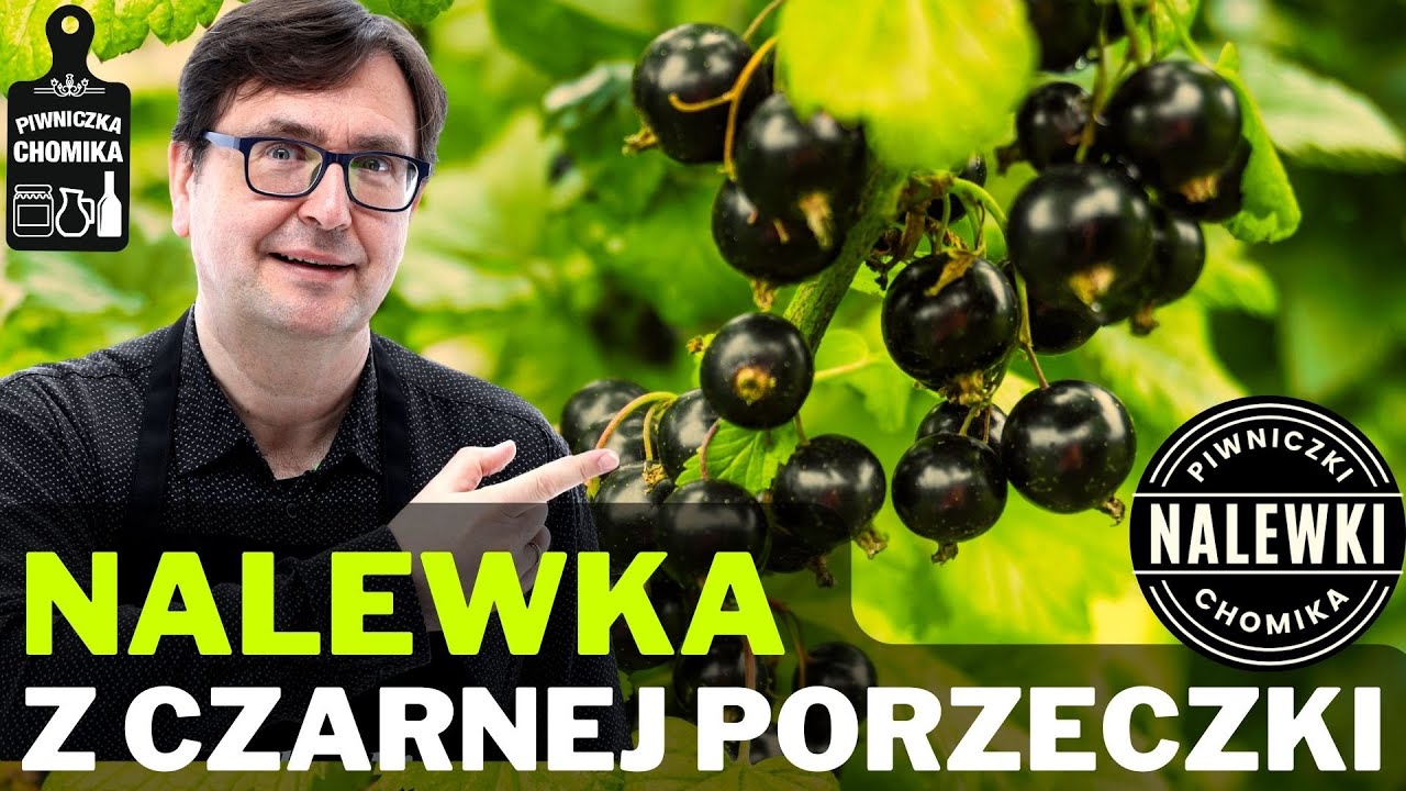 Nalewka z czarnej porzeczki. Pyszna i zdrowa! Zobacz prosty i sprawdzony przepis w jednym filmie.