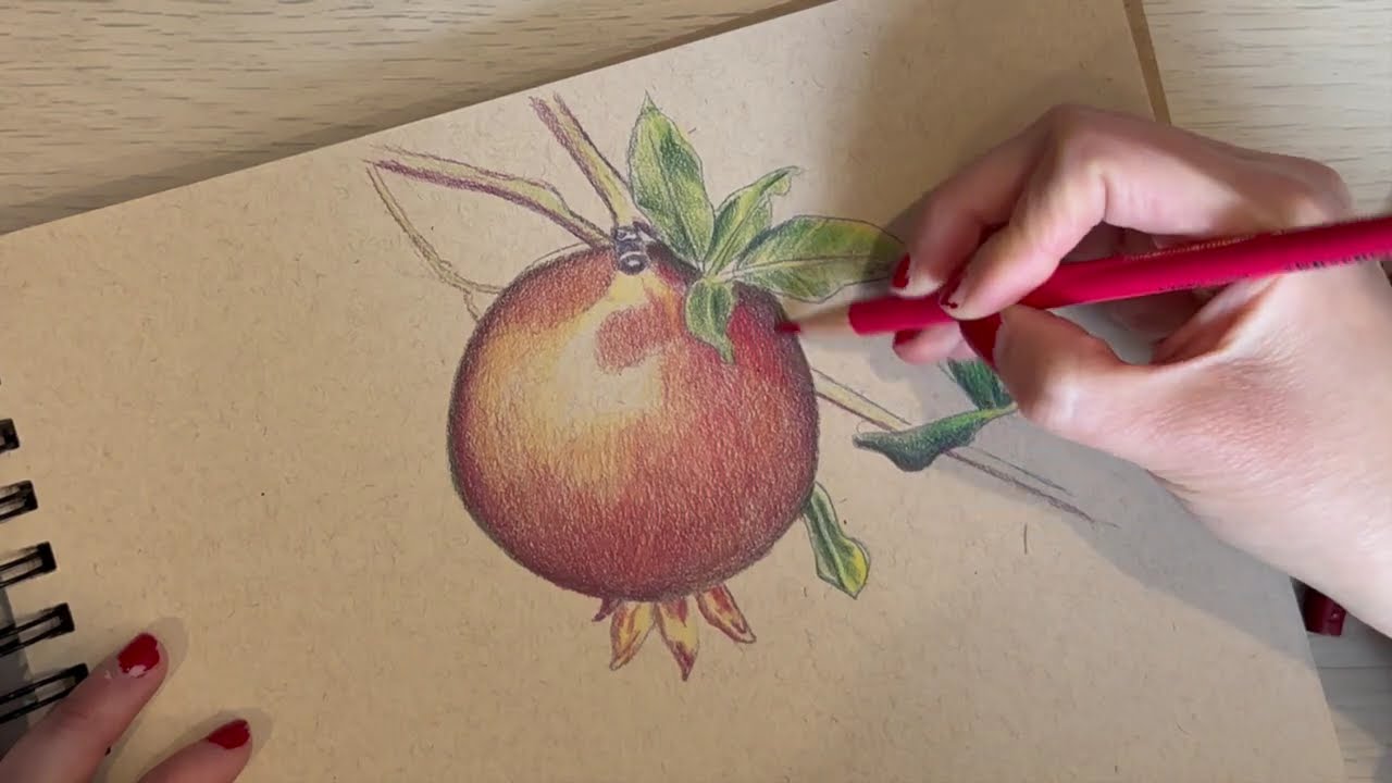 Granada en lápices Polychromos y Prismacolor 🥭| Parte 2
