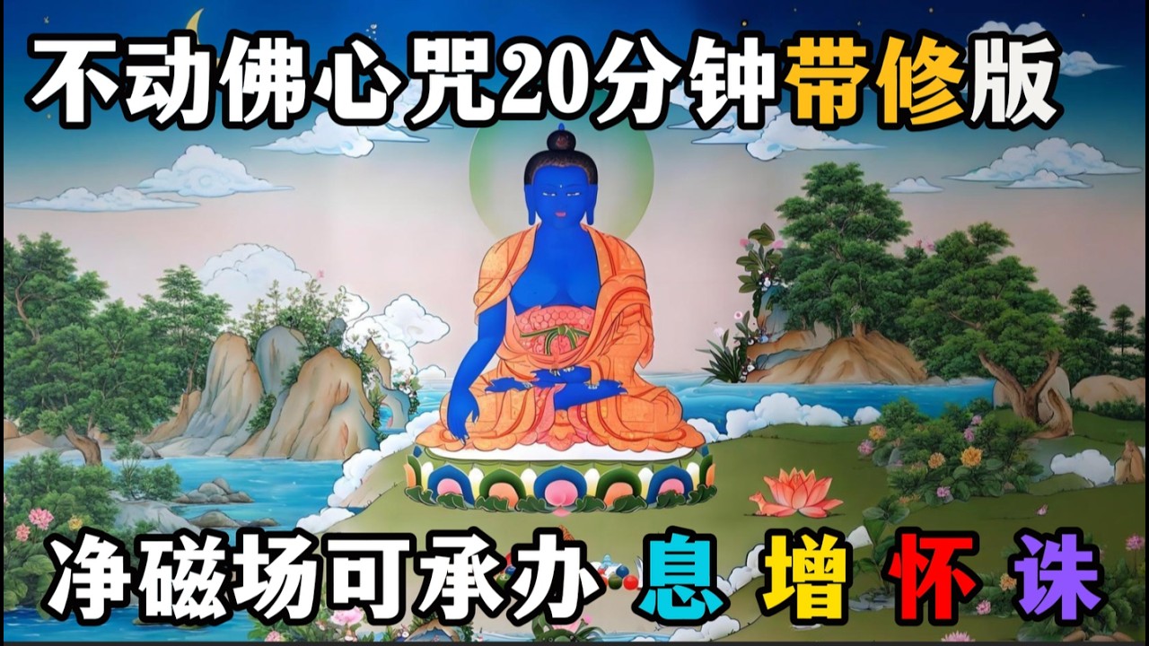 不动佛心咒，20分钟教念修炼版，净化磁场（心源亲诵）