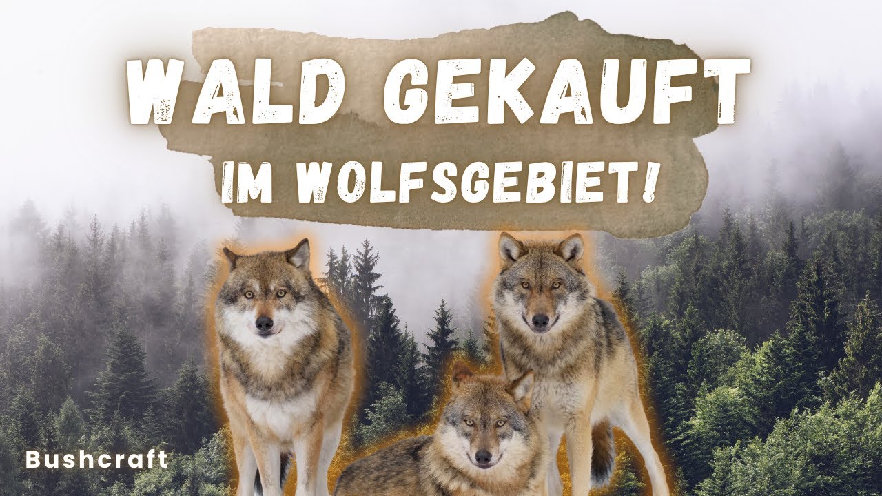 Mein eigener Wald - IM WOLFSGEBIET! + Bushcraftlager & Sondeln