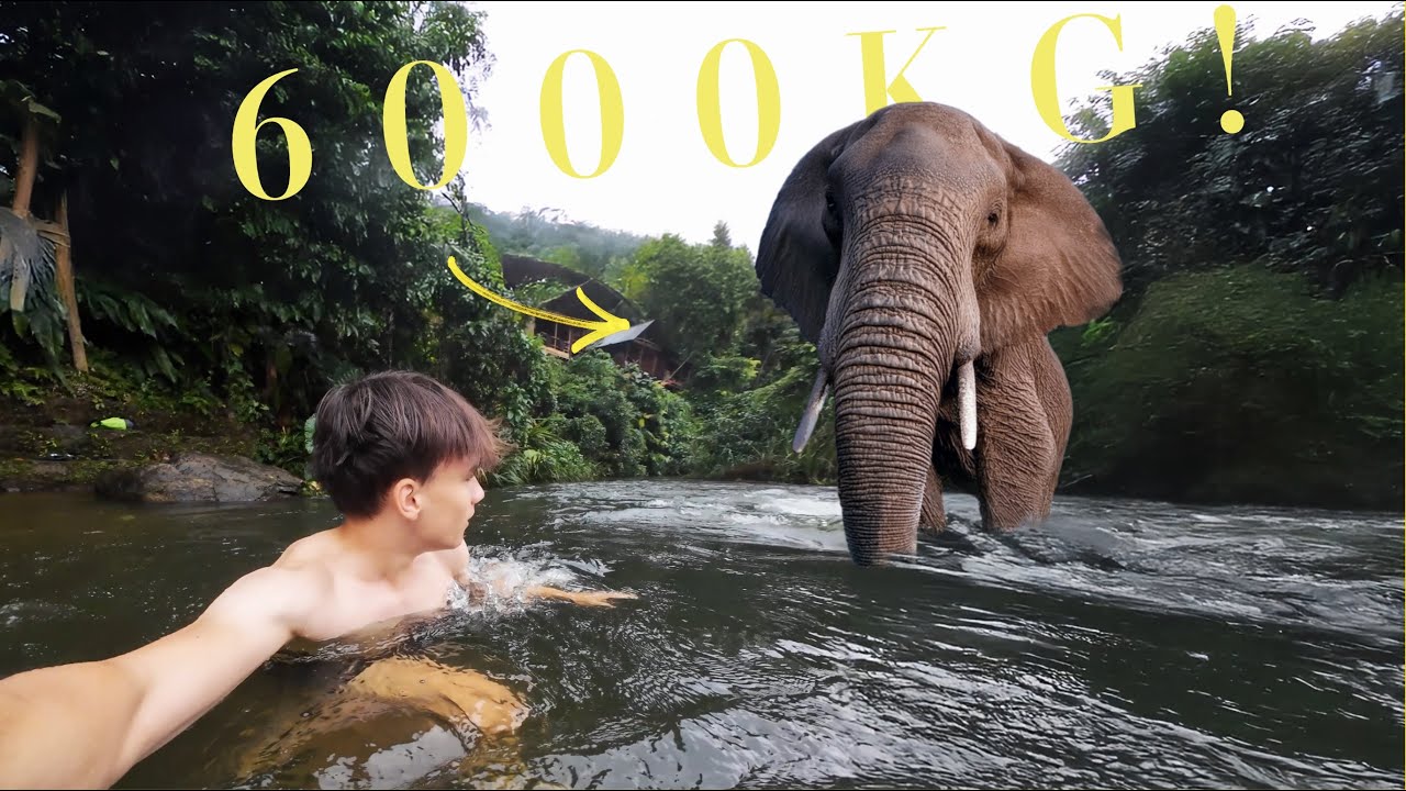 SWIMMING with ELEPHANTS in Sri Lanka!