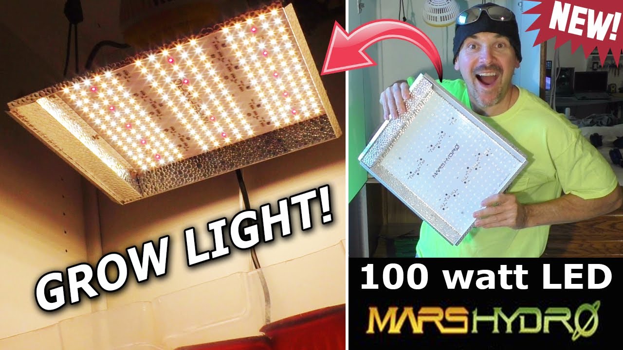NEW! 100 watt LED Grow Light for Seedlings MARS HYDRO TS 600 how to start a vegetable garden indoors