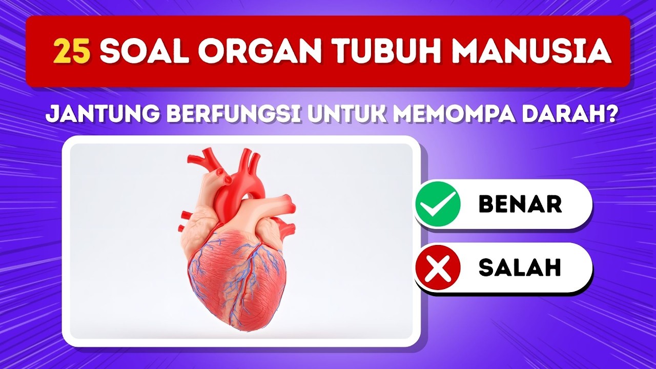 Tebak Organ Tubuh Manusia 🧠👀👂👃 | 25 Soal Belajar Sambil Bermain