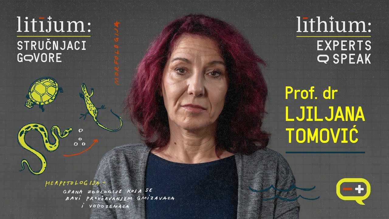 Litijum: Stručnjaci govore | GOST prof. dr Ljiljana Tomović, biolog | ENGLISH SUBTITLES AVAILABLE