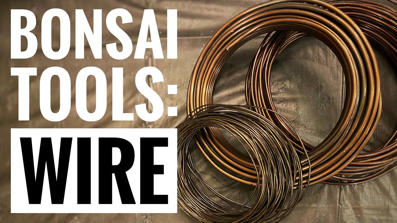 Bonsai Tools: Wire