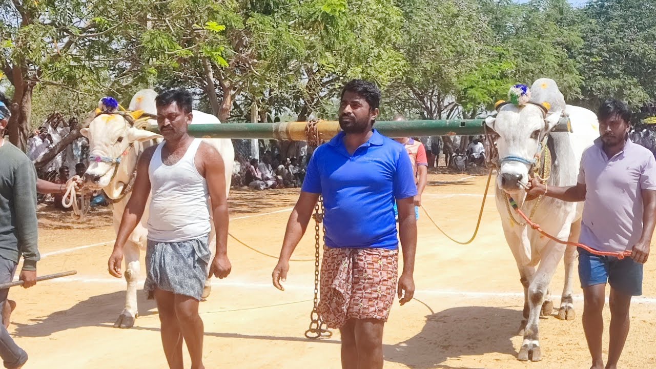 కల్లూరు న్యూ కేటగిరి విభాగంలో 4వ జత SSV & బజారు లక్ష్మి దేవి గారు