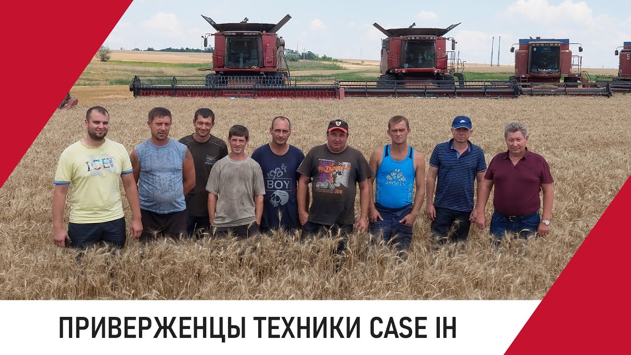 Комбайны Case IH Axial-Flow на уборке урожая в агрофирме «НИБАС»