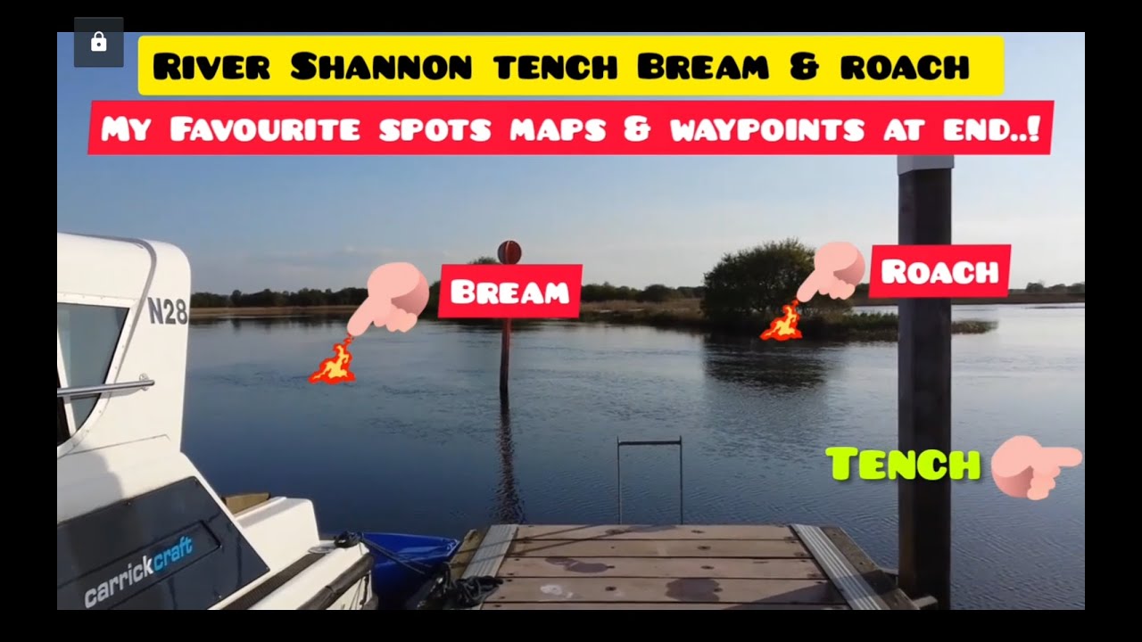 River Shannon Boat Fishing Info 