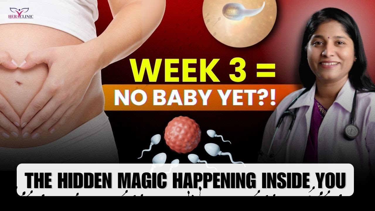 3 Weeks Pregnant: What Does The Baby Look Like?