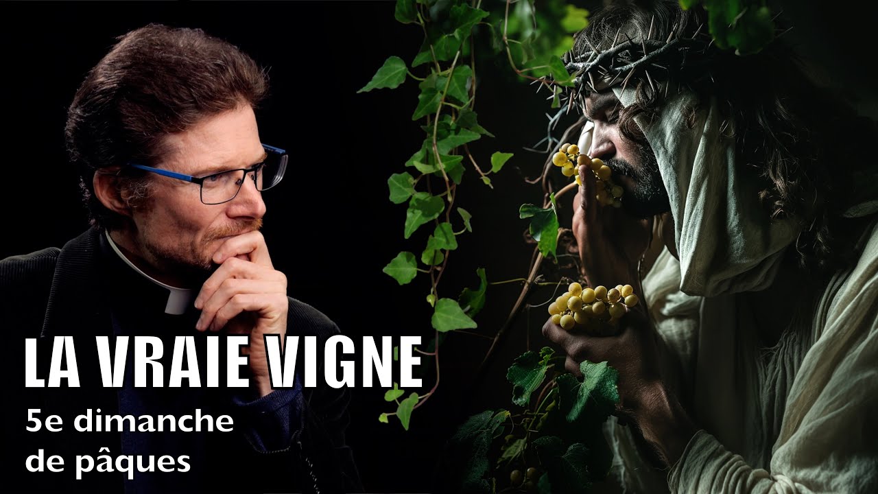 JE SUIS LA VRAIE VIGNE, 5e dimanche de pâques (B), Jn15,1-8, homélie - étude biblique