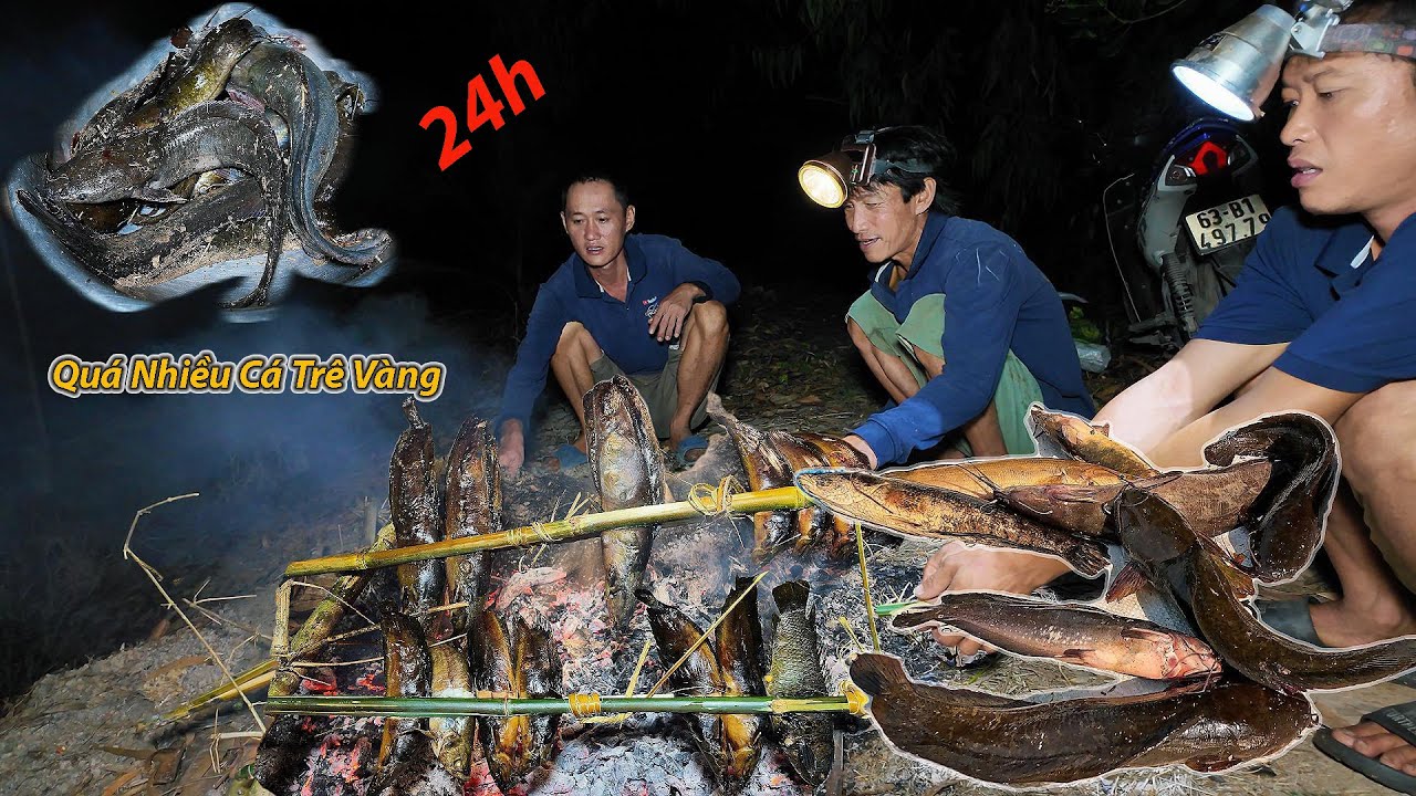 Cắm câu dính quá nhiều 
