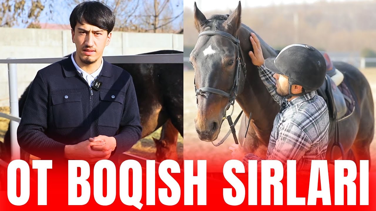 OT BOQIB FOYDA OLISH SIRLARI, NIMALARGA E'TIBOR BERISH KERAK? 2025