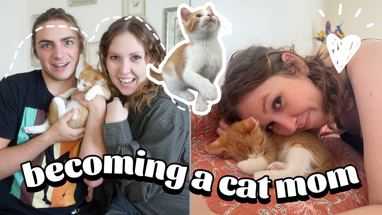 adopting a kitten :,)