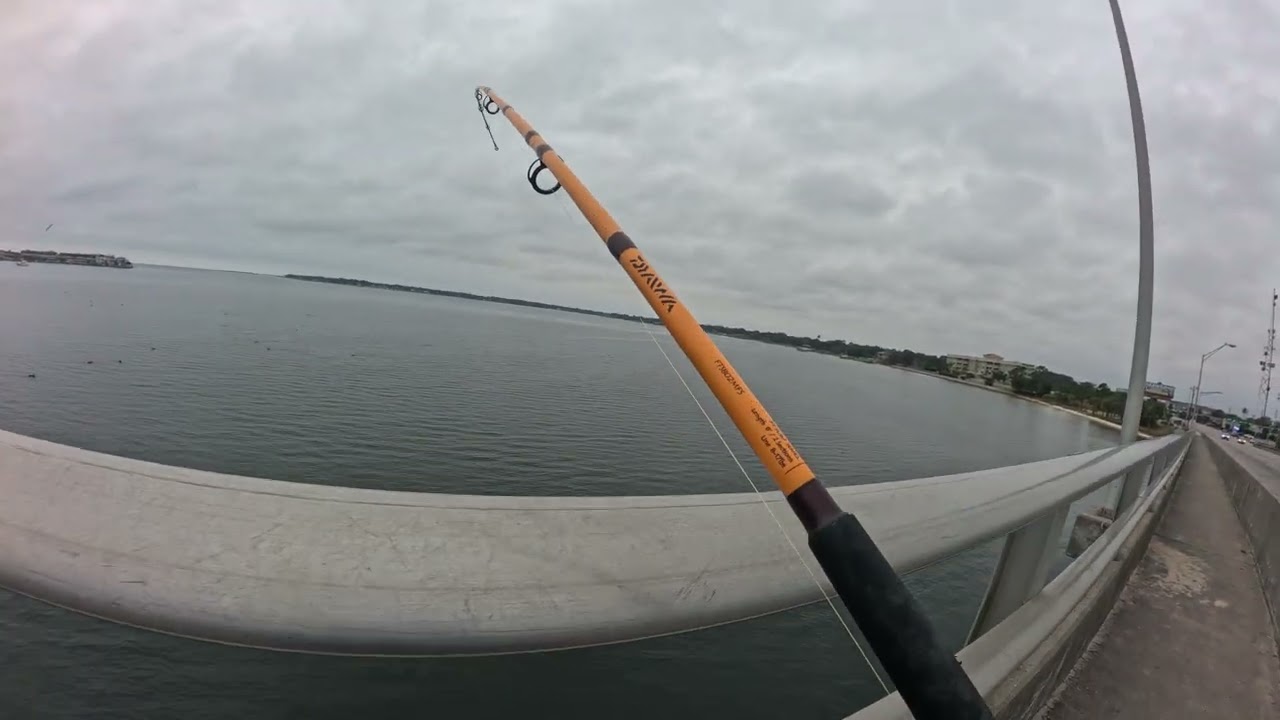 Sea Monster under the bridge