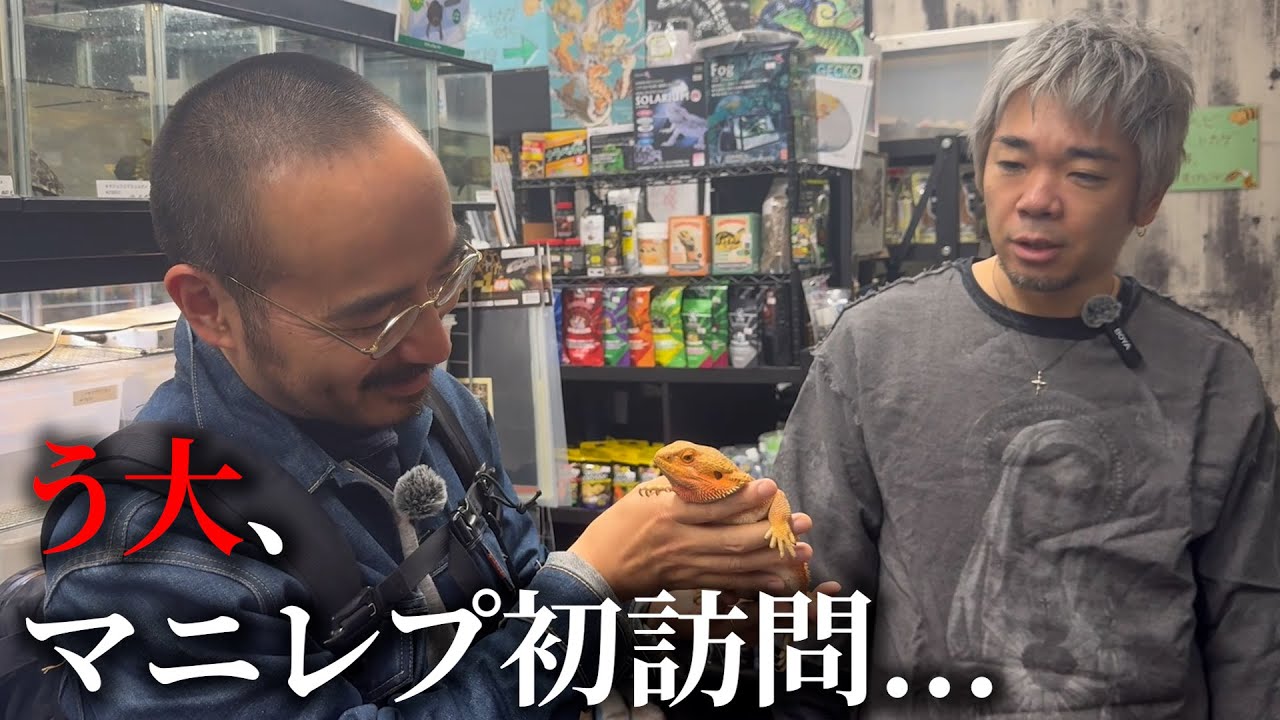 う大、マニレプ初訪問
