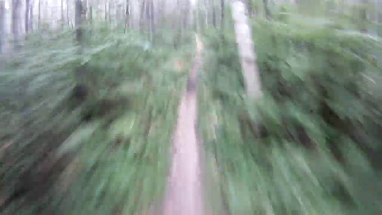 2004 GasGas EC200 first test ride #1