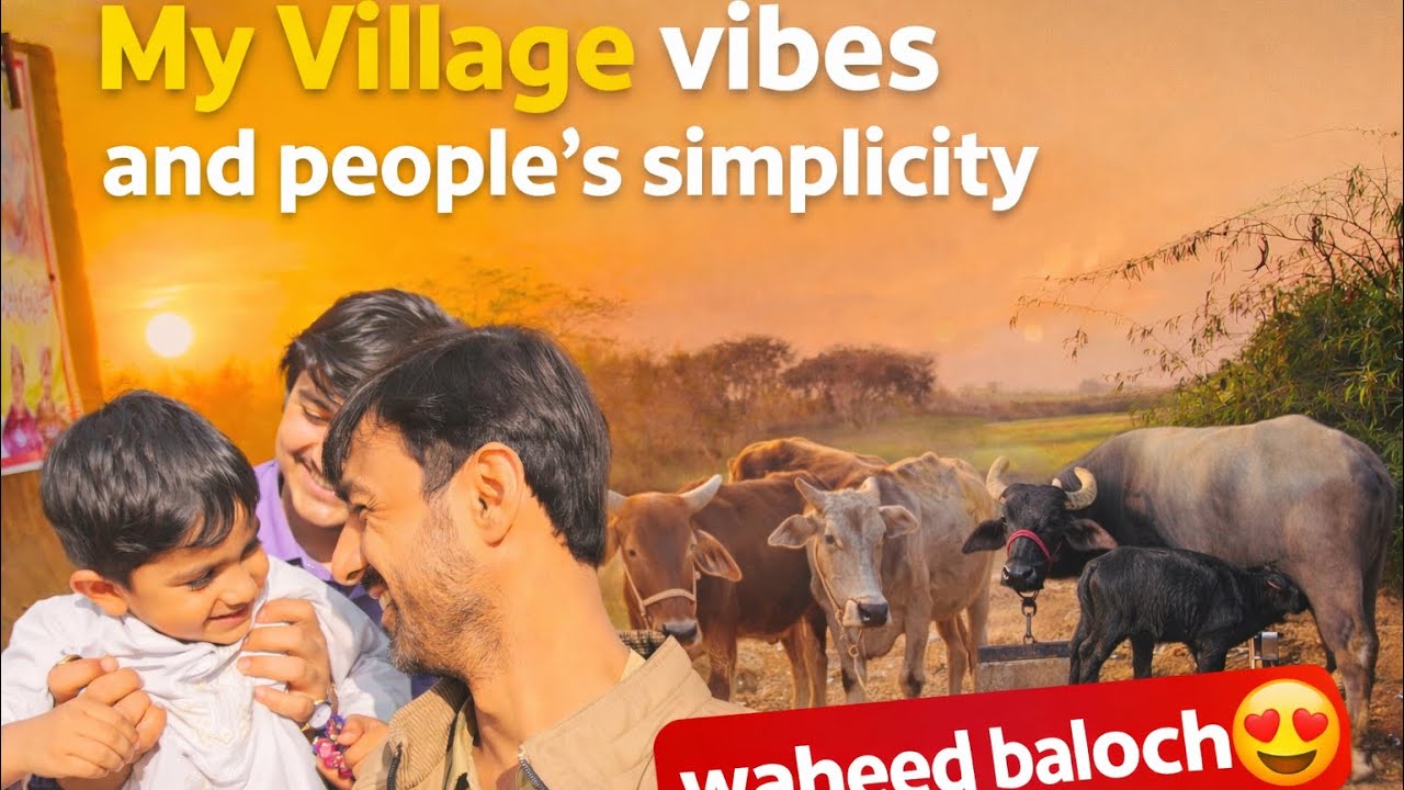 🌄 Pure Village Life in Balochistan 🌾 Pure Life & Simple People ❤️