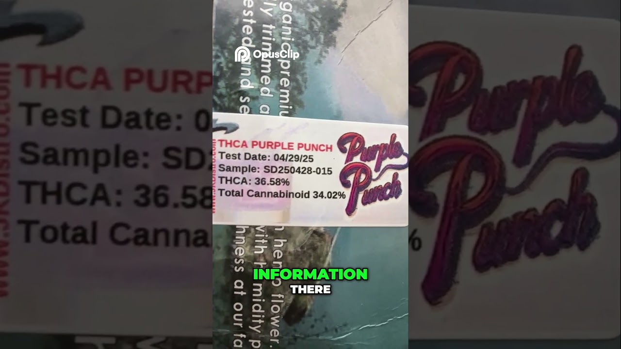 JK Distro: Purple Punch Packs Flying Off Shelves!