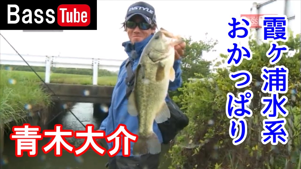 【バス釣り】青木大介 初夏の霞ヶ浦 おかっぱり