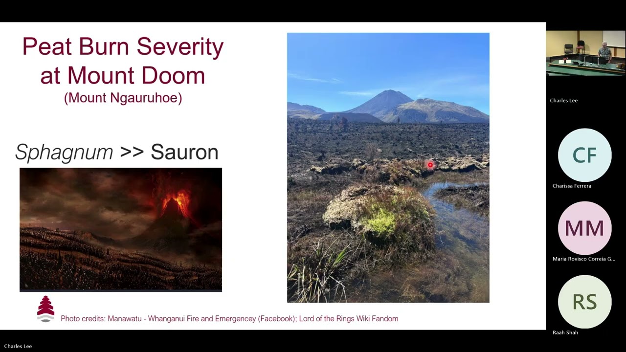 «Торфяные пожары в бореальной зоне в условиях меняющегося климата» — Семинар ERI — Декабрь 2025 г.