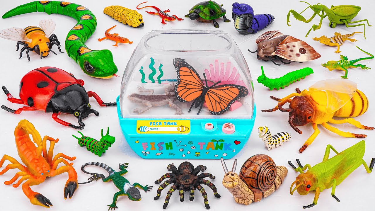 Ultimate ZURU Robo Alive Insects ASMR 🦎 Aquarium, Snake, Bee, Snail, Worm (No Talking)