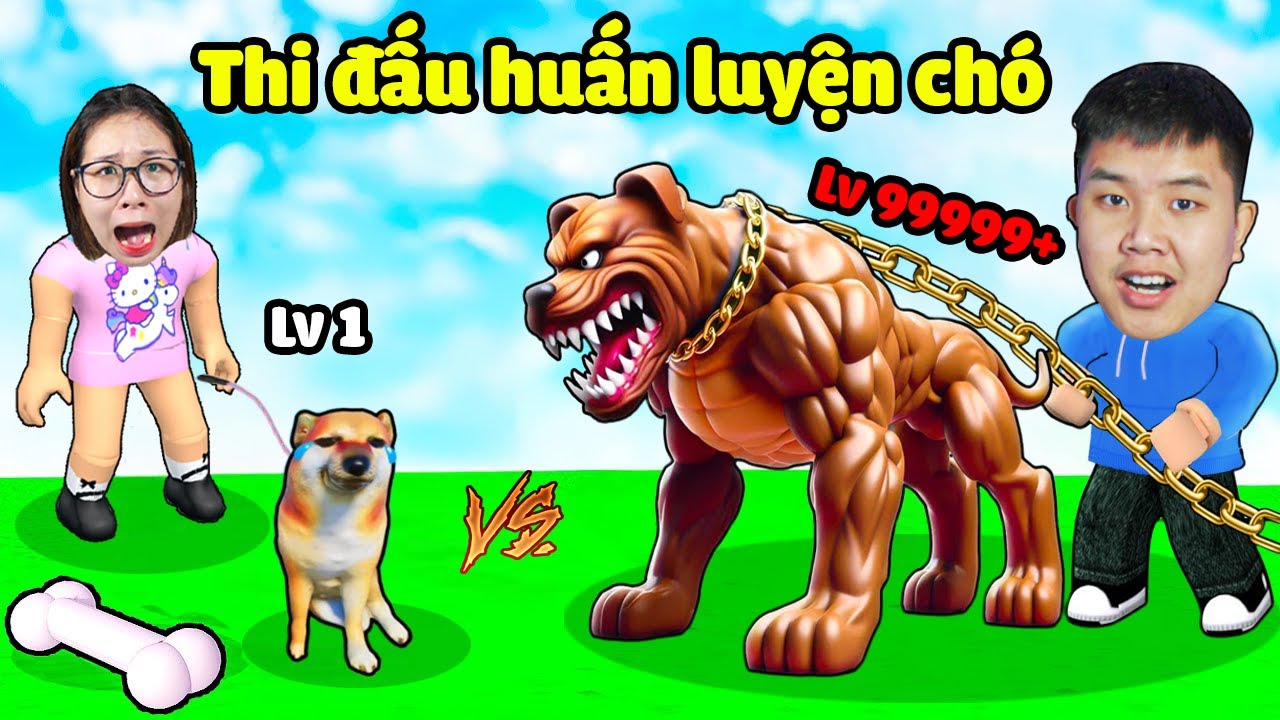 Thi huấn luyện chó đấu với nhau xem ai mạnh nhất ? bqThanh Mua Chó Siêu Mạnh Cắn Ốc