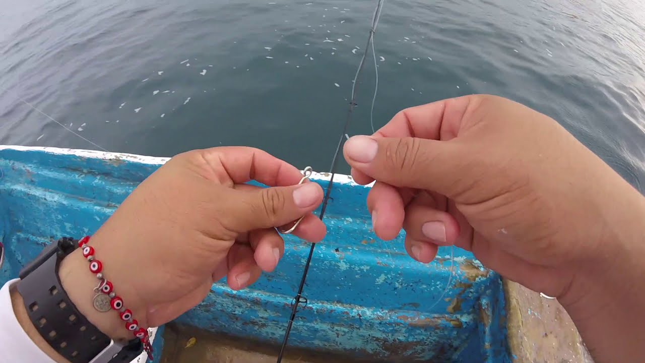 Pesca de Dorados con carnada viva