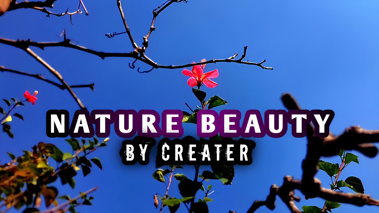 Nature Beauty By Creater 
