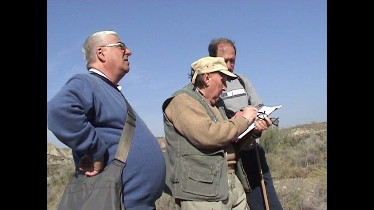 DESIERTO DE TABERNAS. In memoriam D. Luis Delgado Castilla