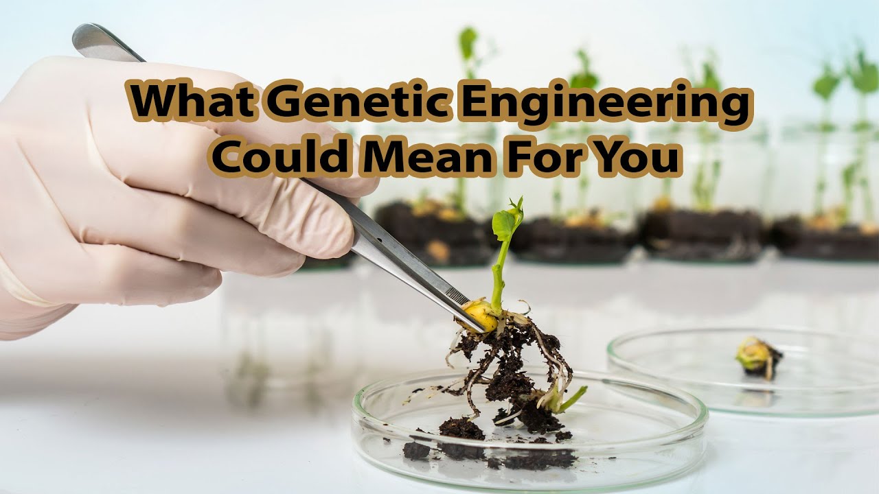 What Genetic Engineering Could Mean For You - By Author Stacy Malkan