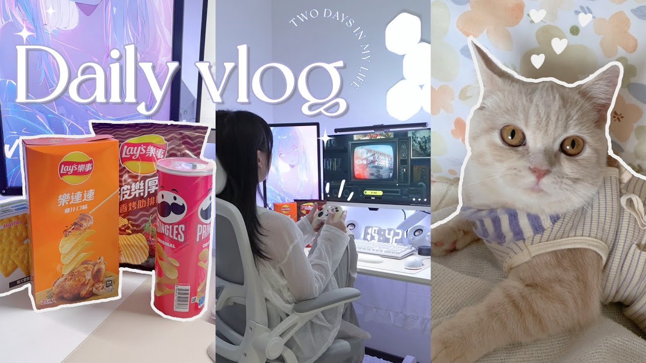 [SUB] 被貓貓治癒的一天 ✨ 低能量人的連假 | 絕區零 | Gaming vlog
