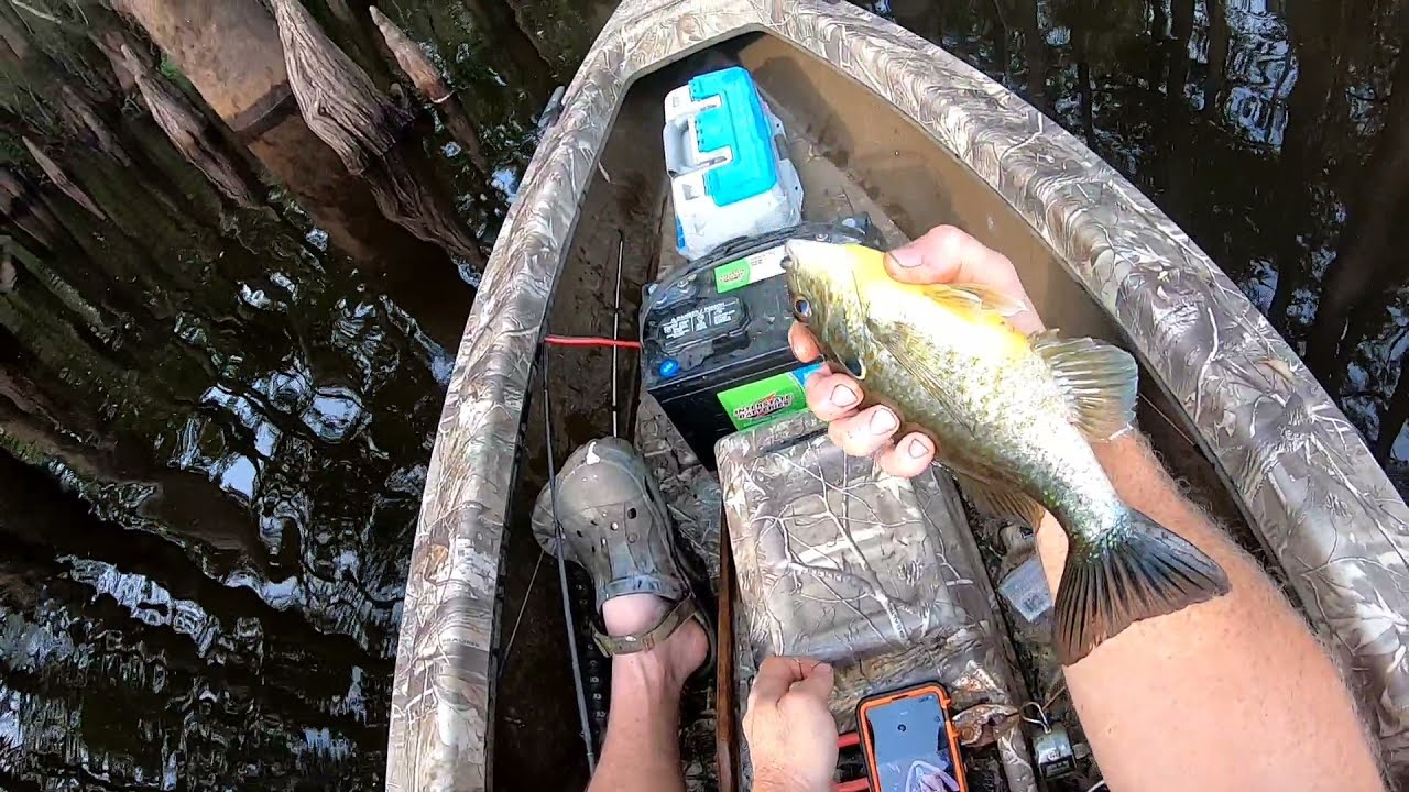 Catching Bream on Fathers Day Weekend. Here fishy, fishy, fishy!!!!!