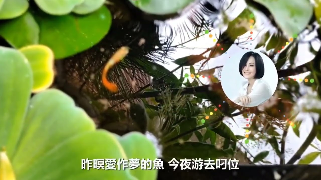 【台語歌曲】愛作夢的魚 - 江蕙