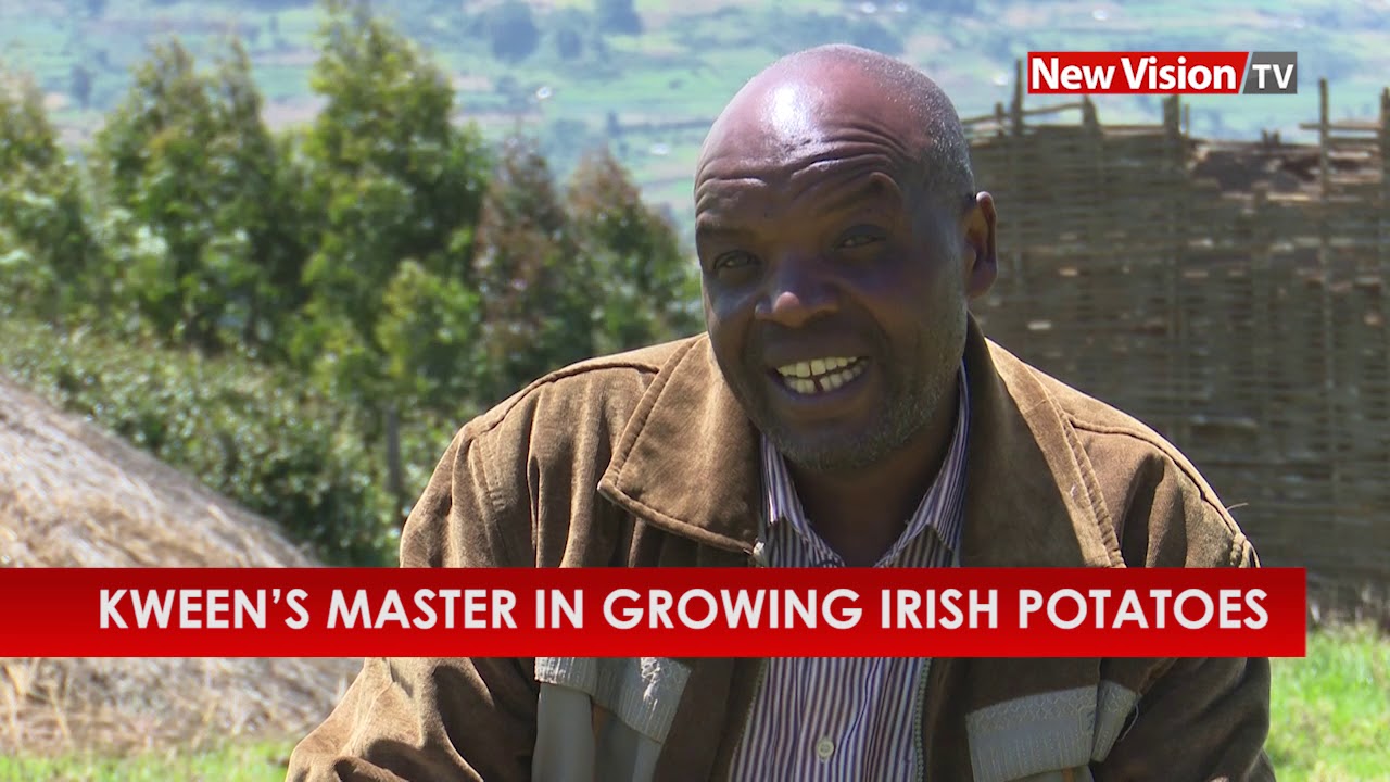 Kween’s master in growing Irish potatoes