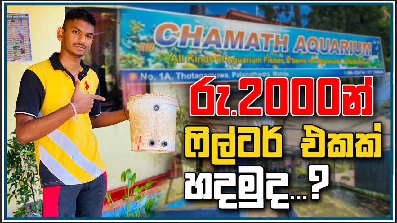 Fish Tank Filter || 2000/= Filter එක හදමු || Chamath Aquarium