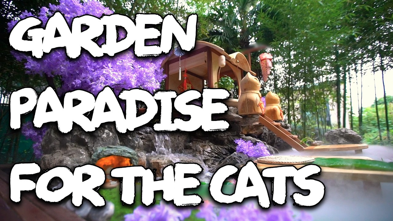 Garden Paradise for Stray Cats