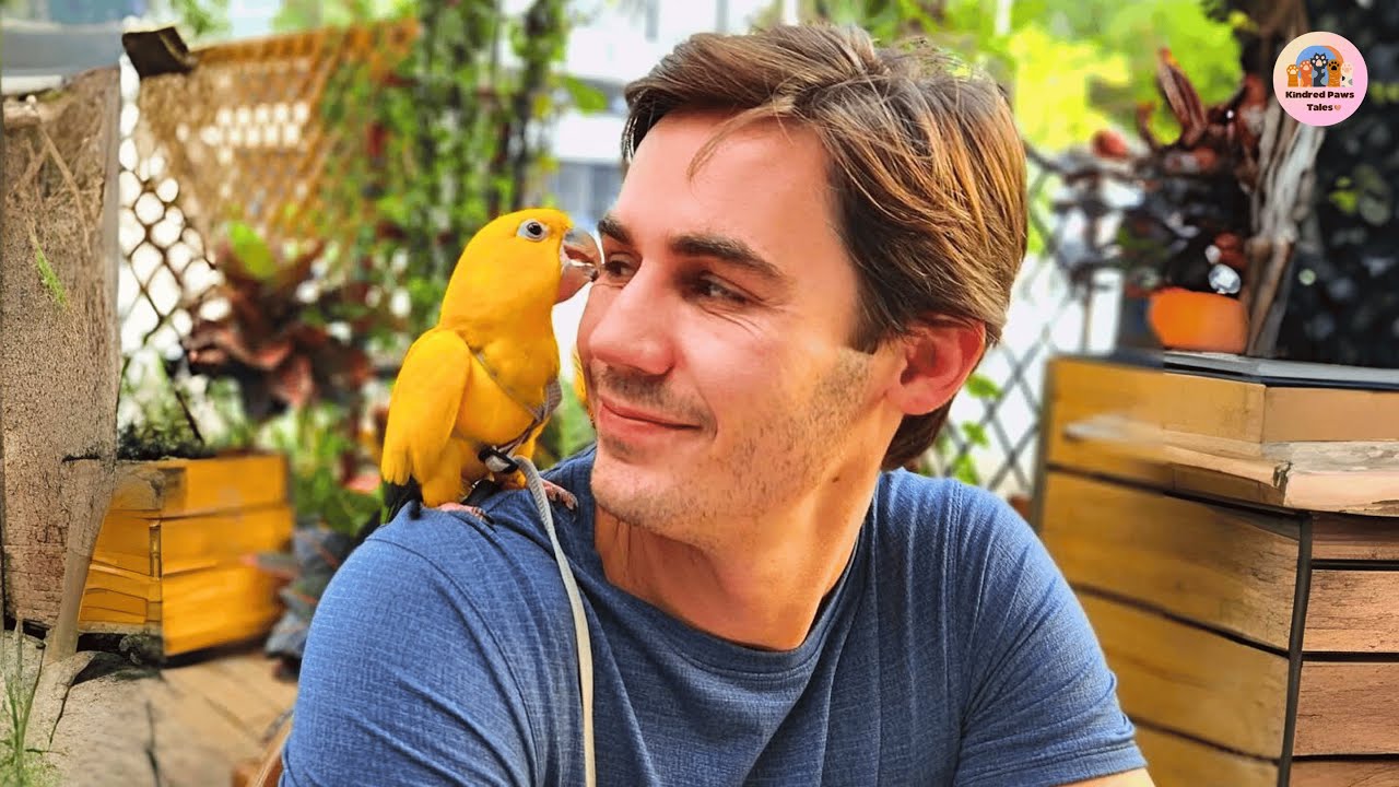 Man Rescued a Parrot. Now He Can’t Even Shower in Peace
