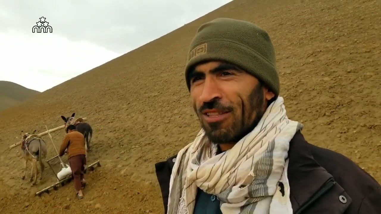 از طلوع آفتاب تا غروب؛ تلاش خاموش دهقان در زمین 