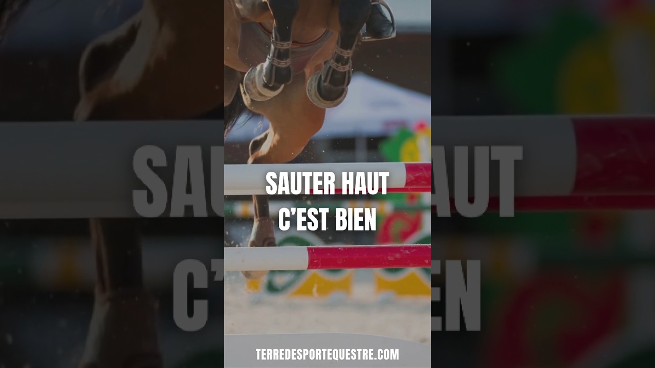 Saut d'obstacles 