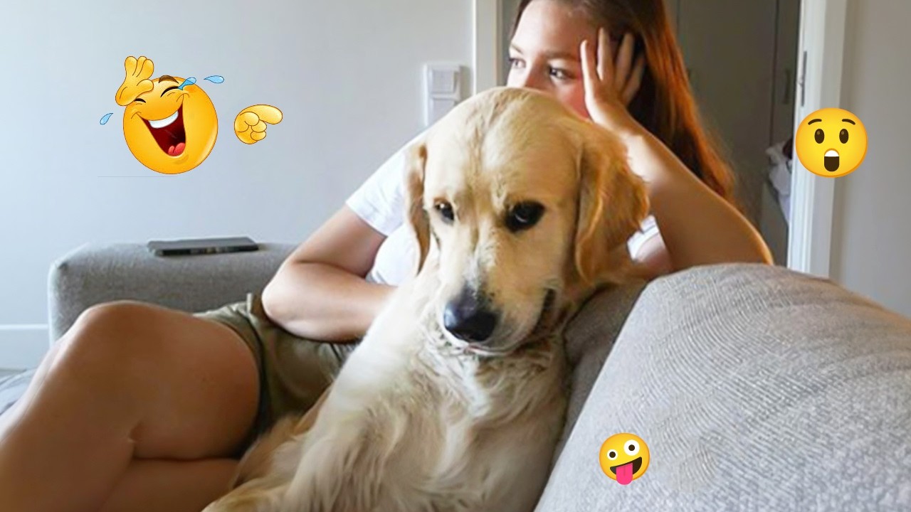I Tried Not to Laugh… These Dogs Ruined It 😂🐶 | Funny Dogs 2026 #60