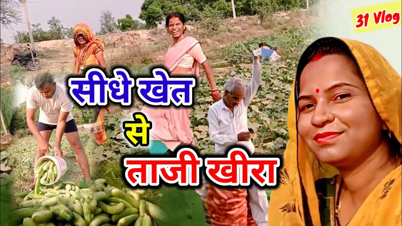 Family Ke Saath Khet Se Taaza Khira Tode | Village Life Vlog