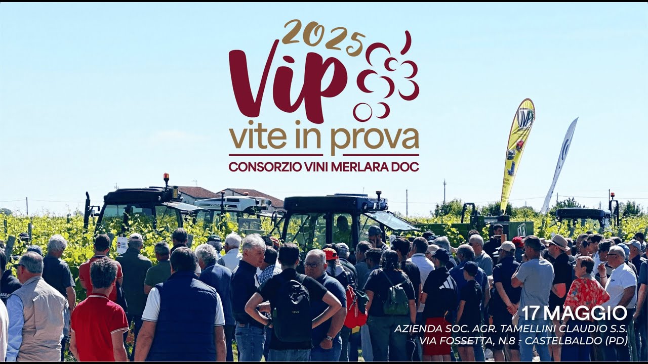 VIP 2025 – Vite in Prova. Il video e le interviste